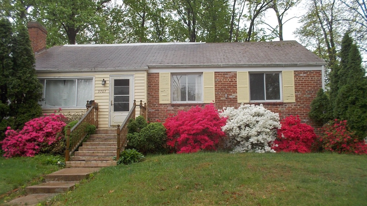 Photo of Others in Annandale