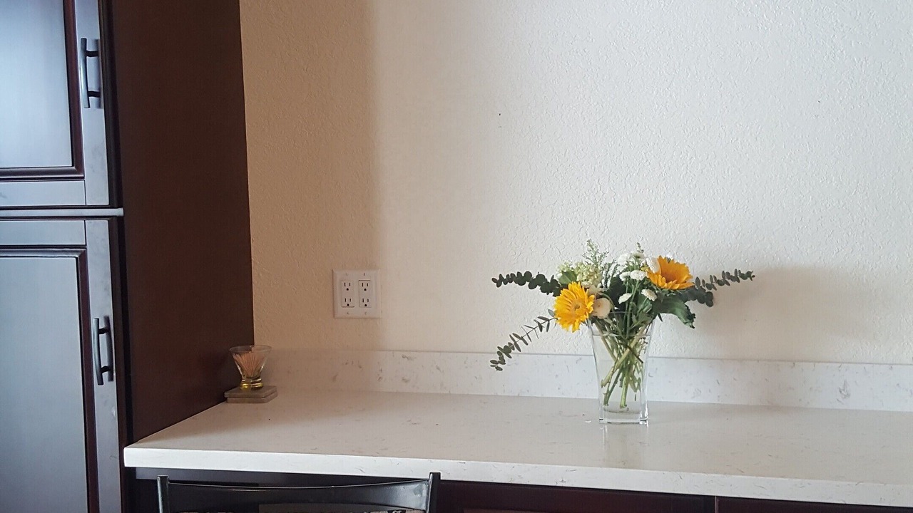 Photo of Others in Alamo