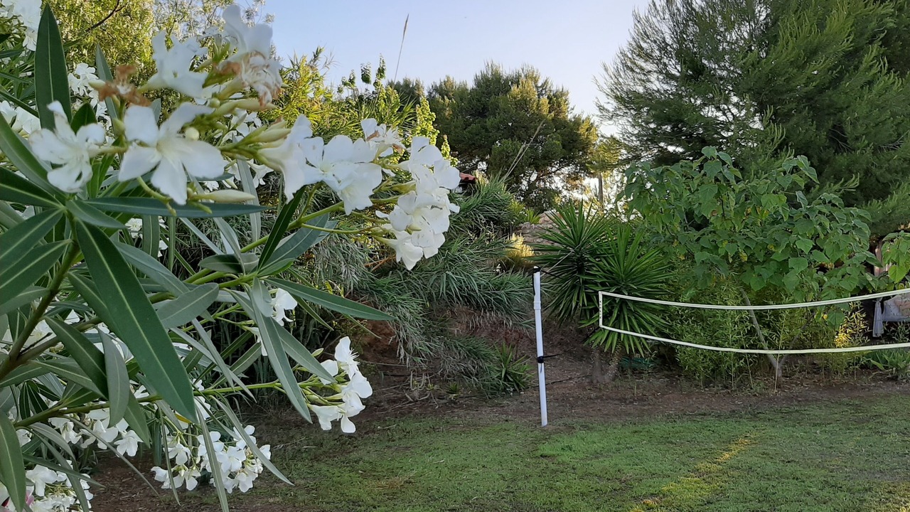 Photo of Outdoor in Pedralba
