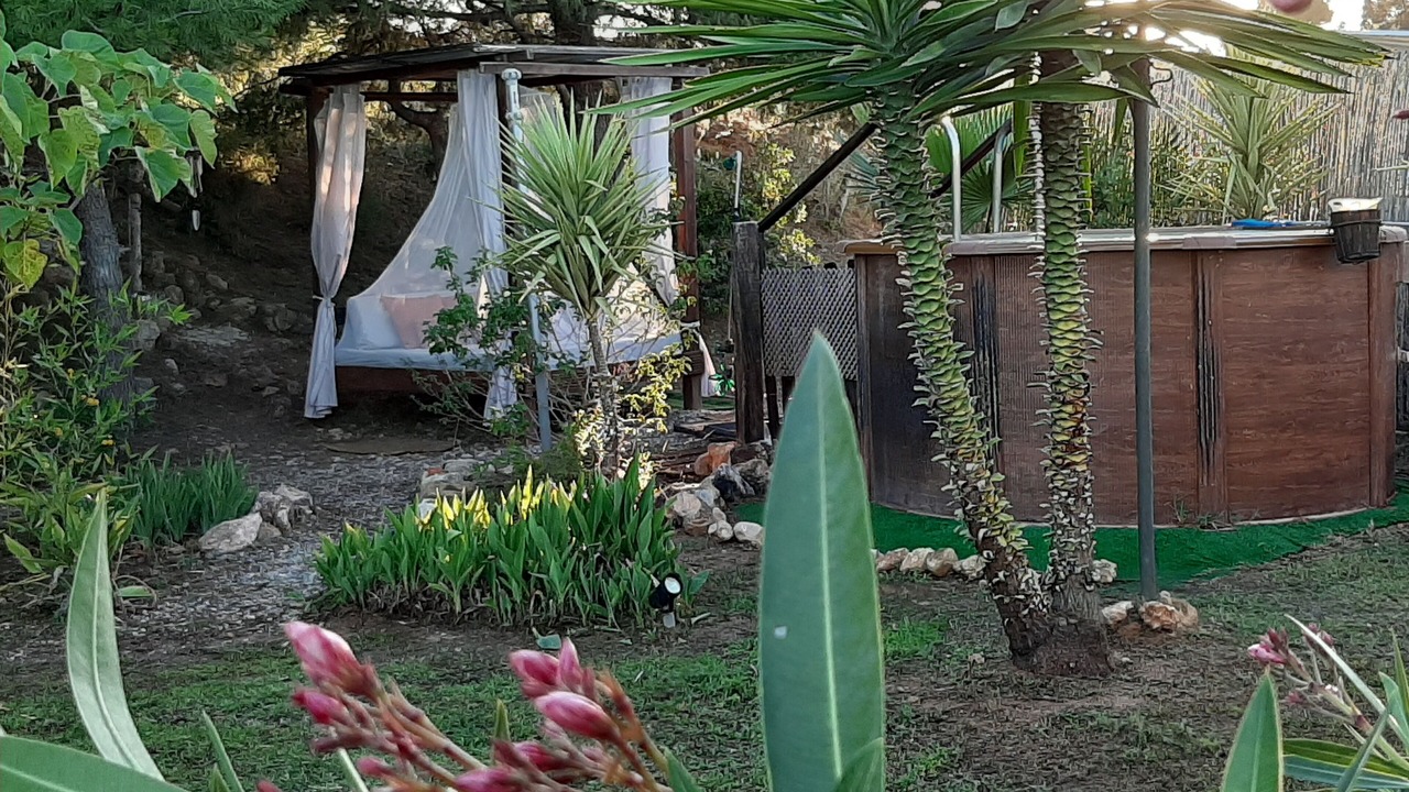 Photo of Outdoor in Pedralba