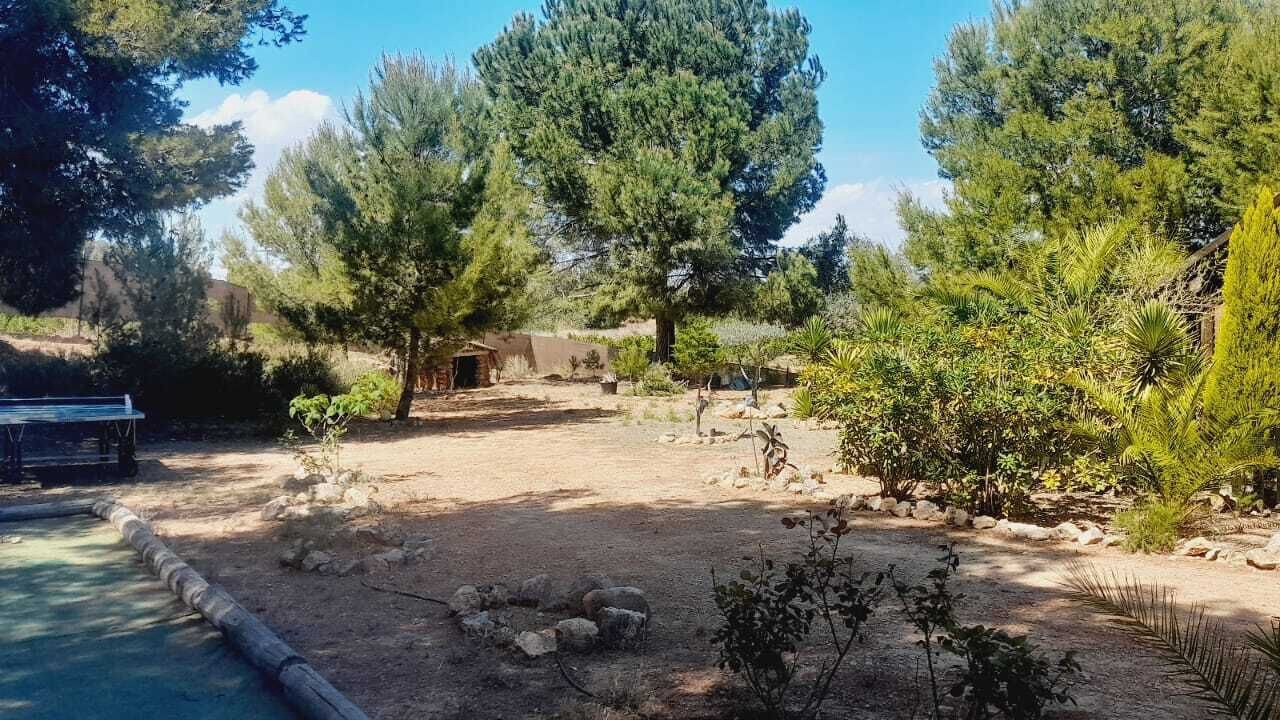 Photo of Outdoor in Pedralba