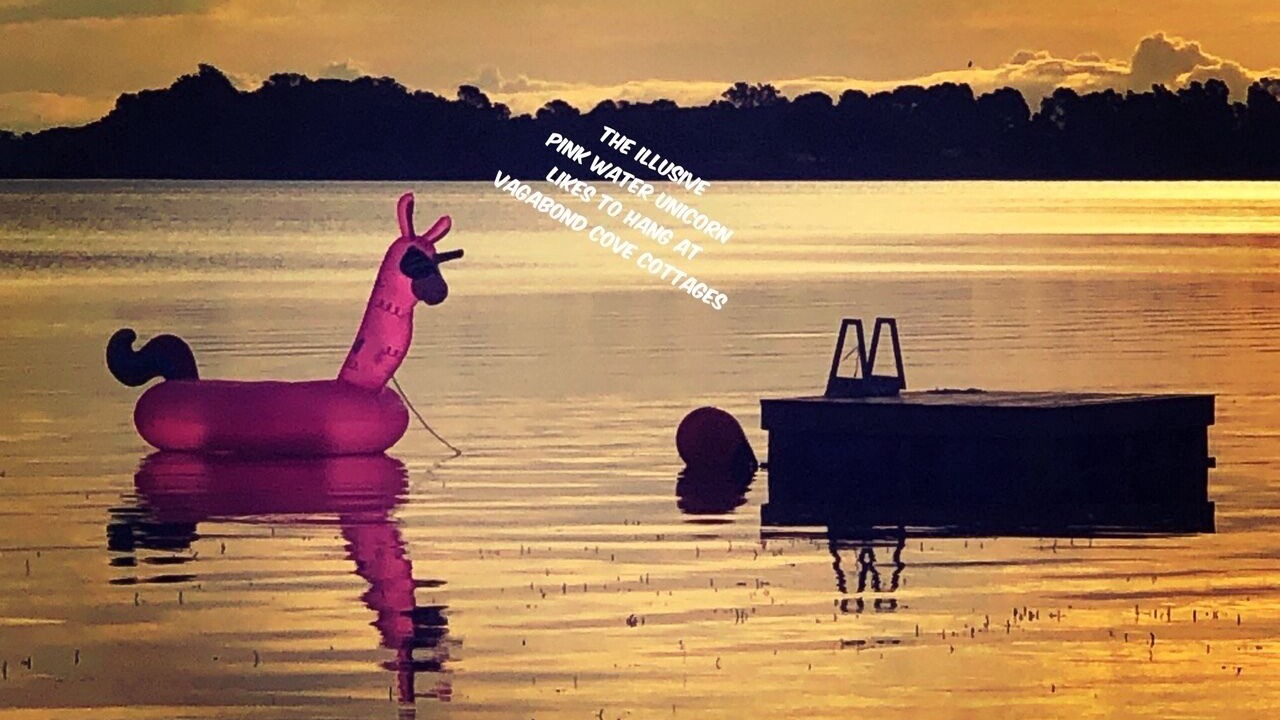 Photo of Others in Milford