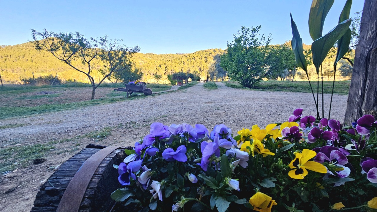Photo of Outdoor in Valderrobres