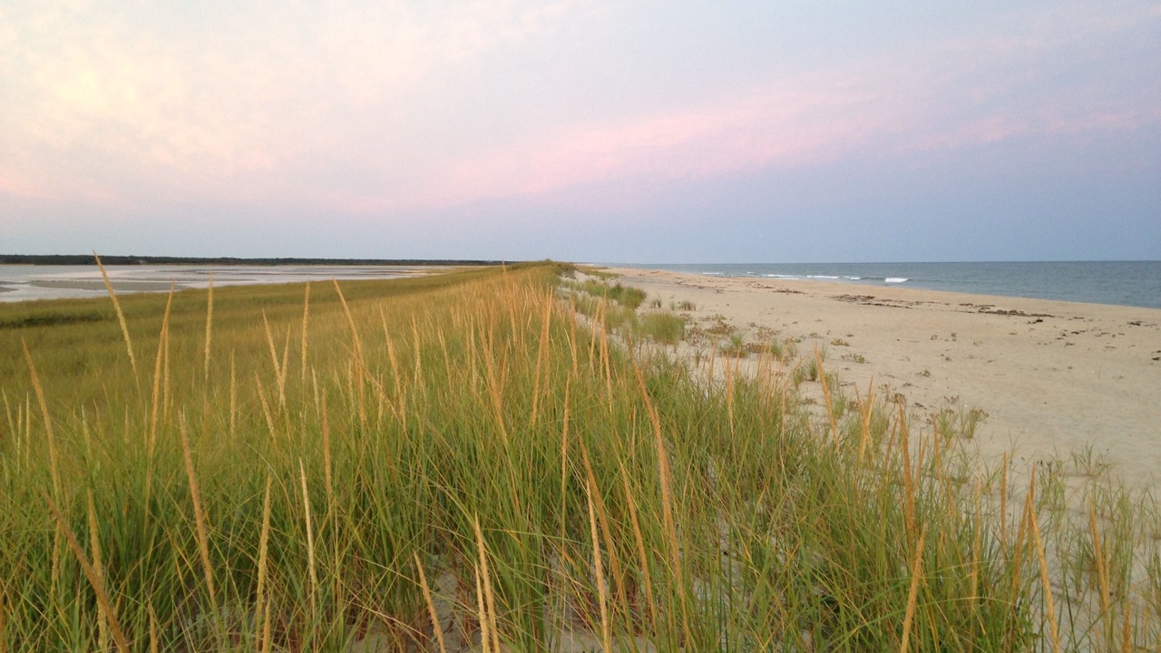 Photo of Others in West Tisbury