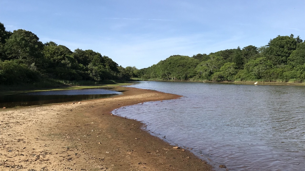 Photo of Others in West Tisbury
