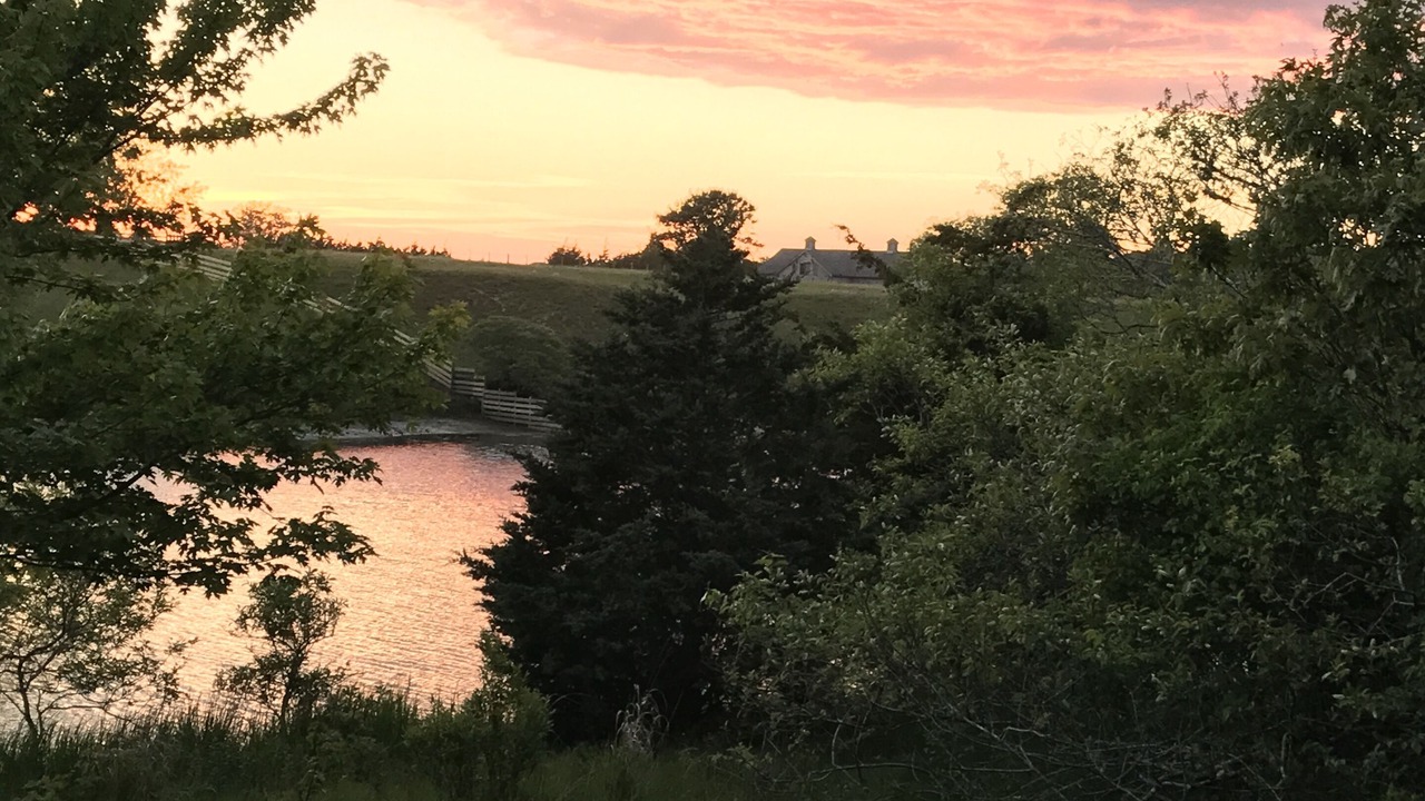 Photo of Others in West Tisbury