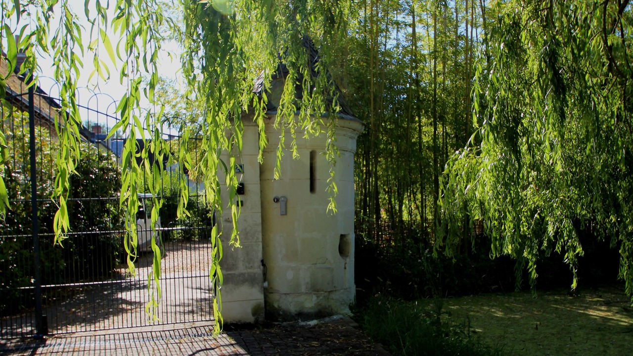 Photo of Outdoor in Couffy