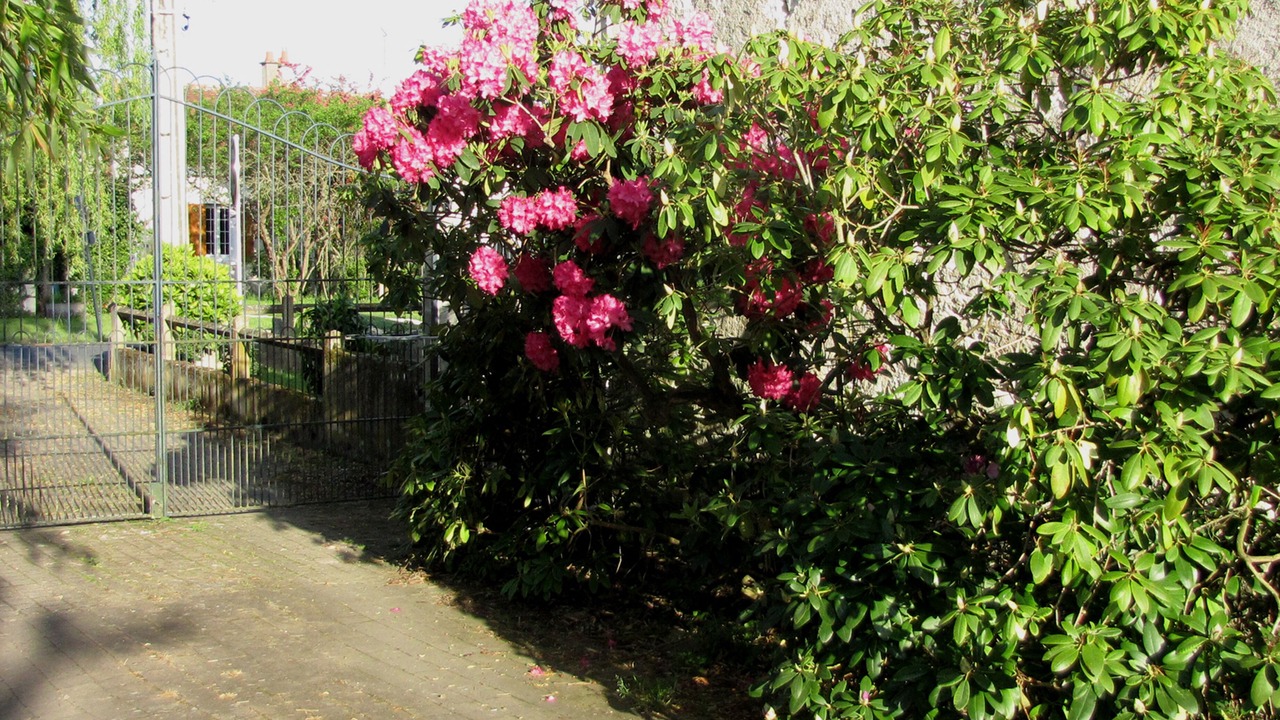 Photo of Outdoor in Couffy