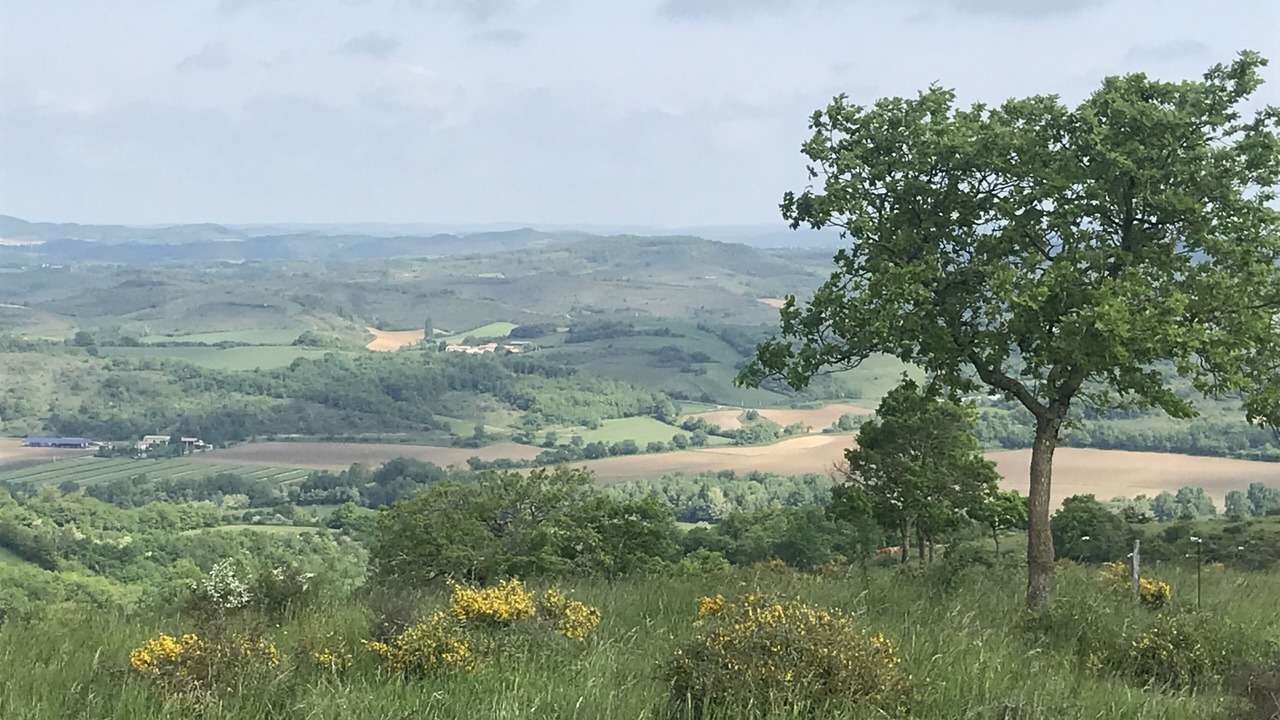 Photo of Outdoor in Caudeval
