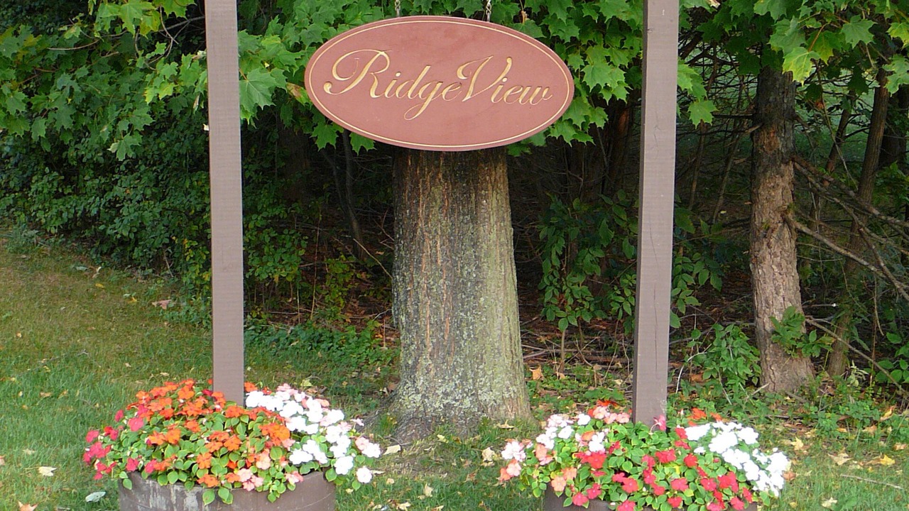 Photo of Others in Cazenovia