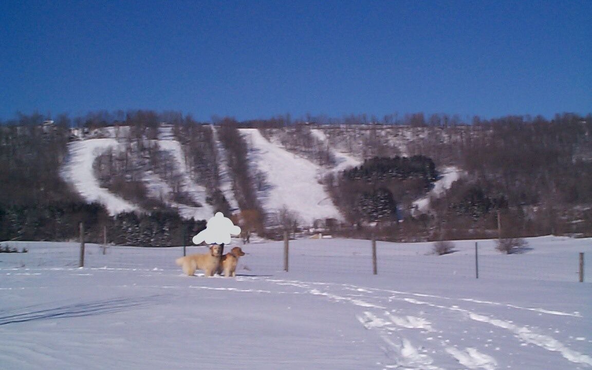 Photo of Others in Cazenovia