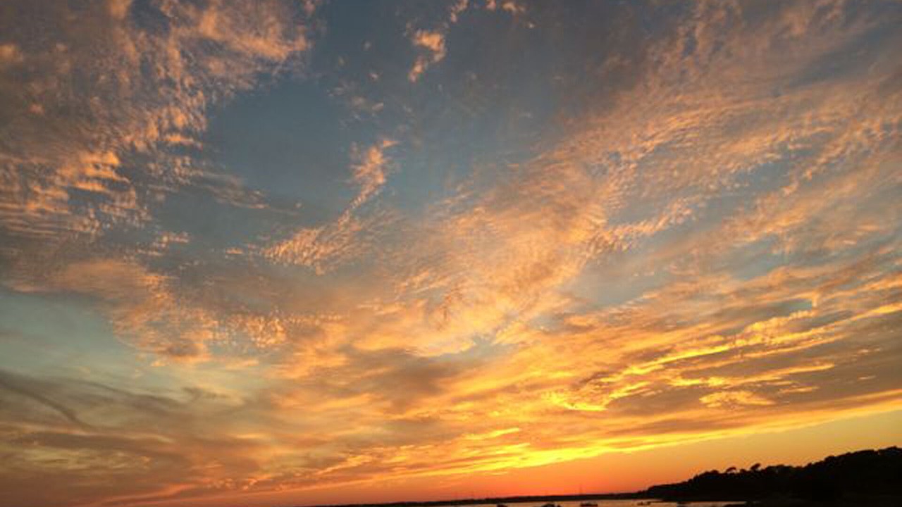 Photo of Others in Edgartown