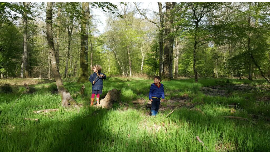 Photo of Others in Bernay-en-Ponthieu