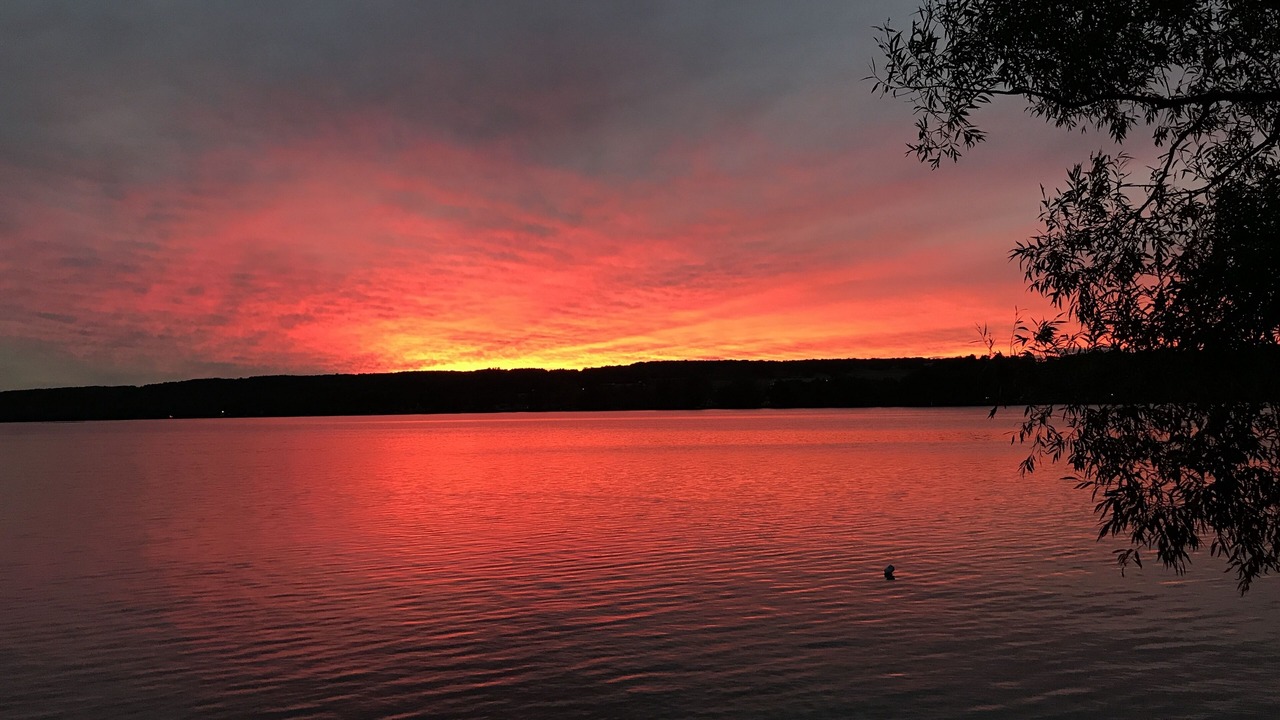 Photo of Others in Perry