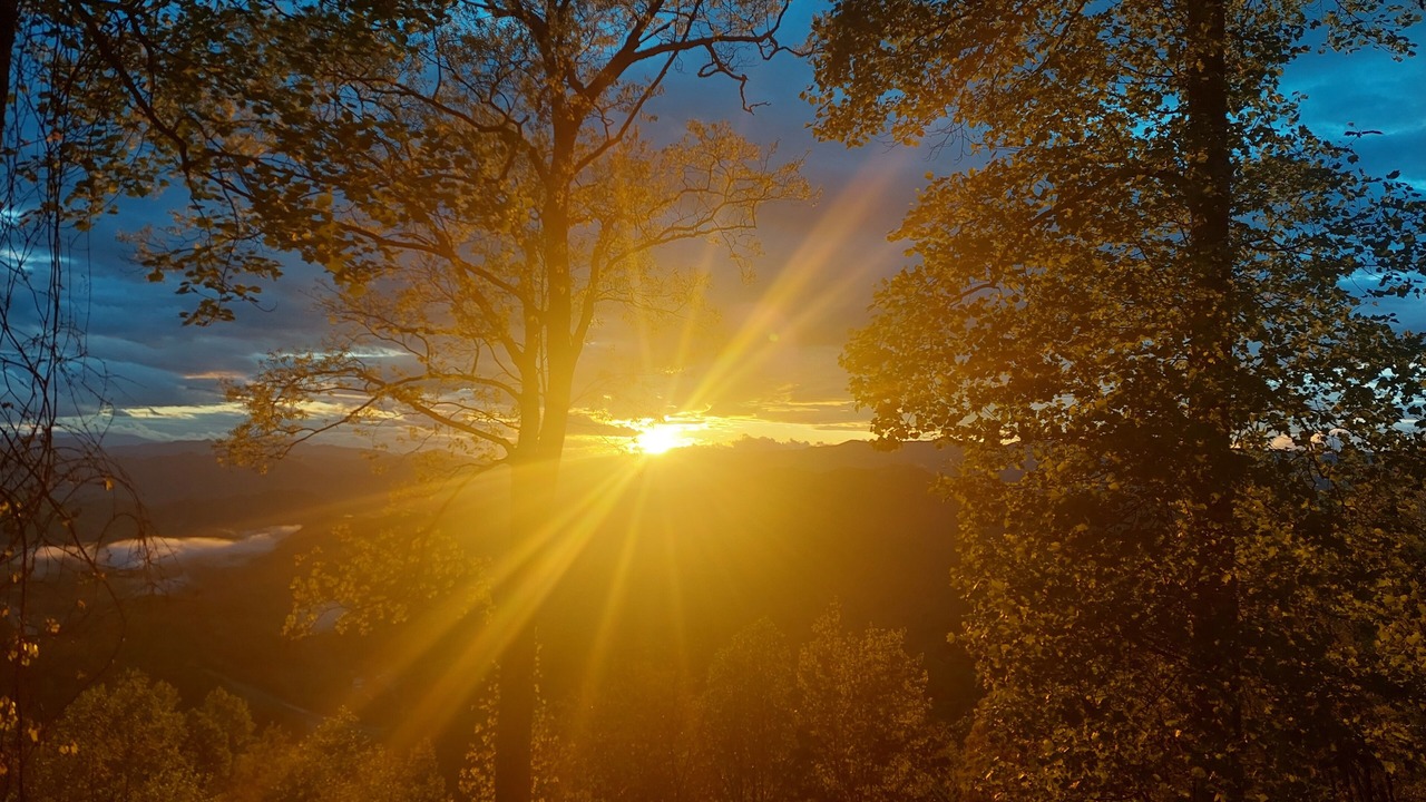 Photo of Others in Bryson City