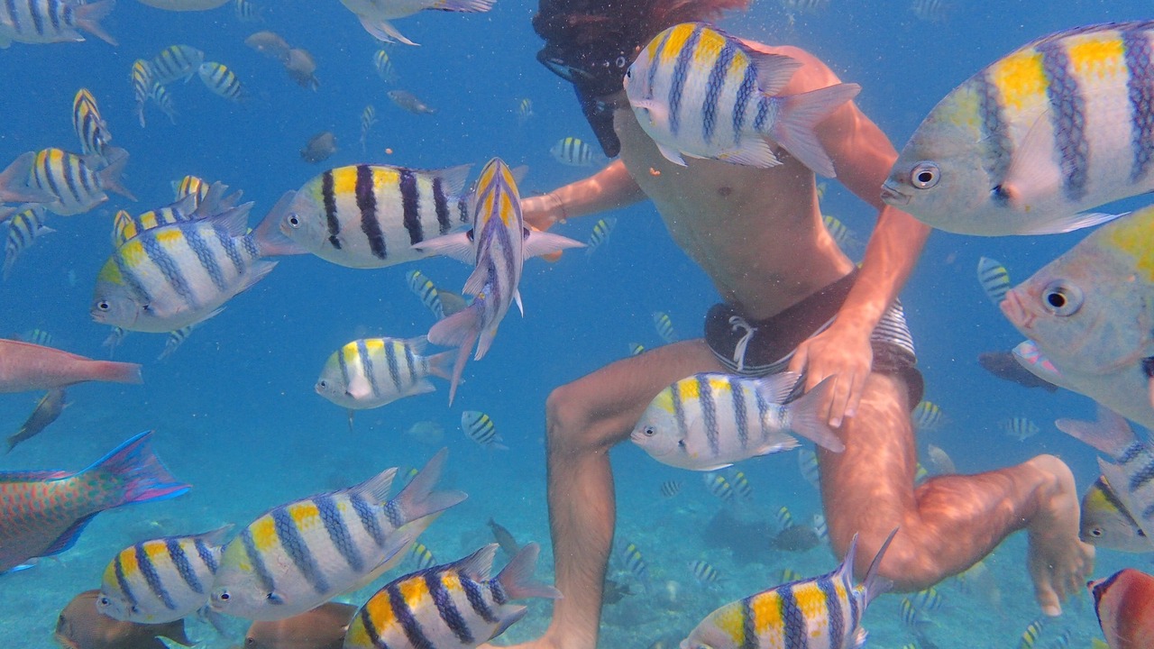 Photo of Others in Gili Trawangan