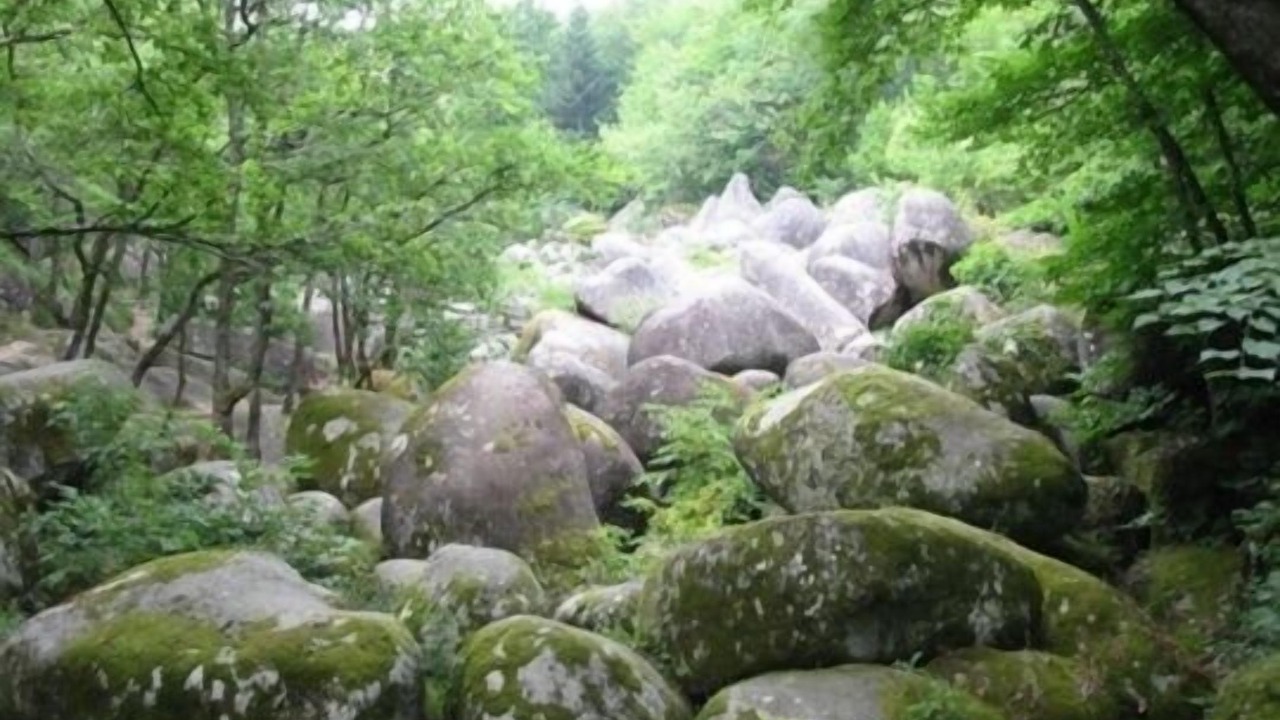 Photo of Others in Cambounes
