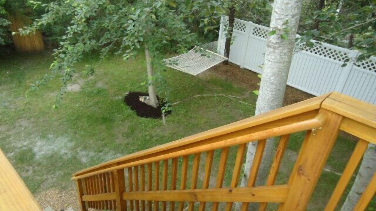 Photo of Others in Katama