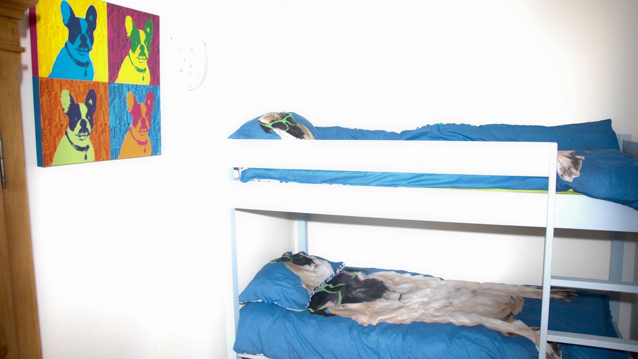 Photo of Bedroom in L'Ampolla