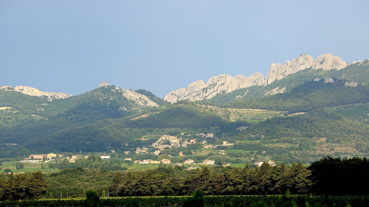 Photo of Outdoor in Violes