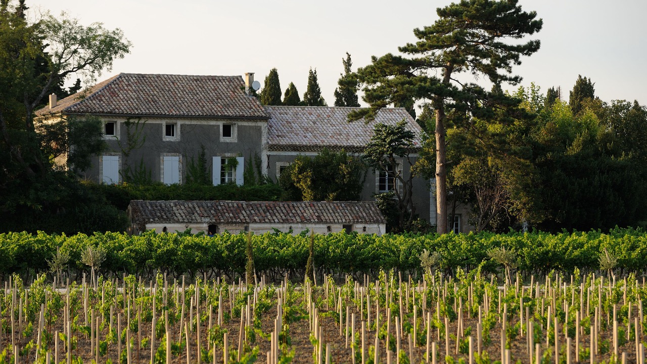 Photo of Outdoor in Violes