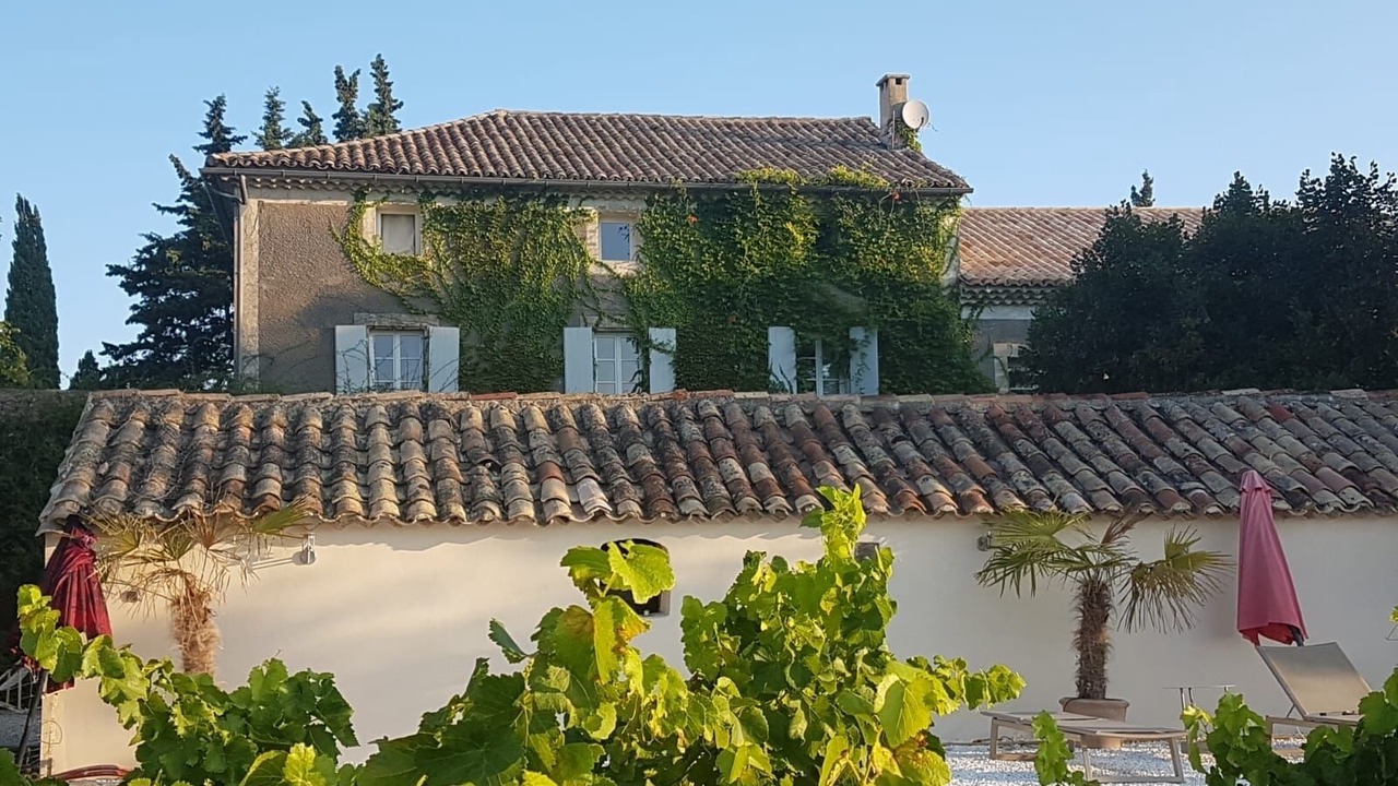 Photo of Outdoor in Violes