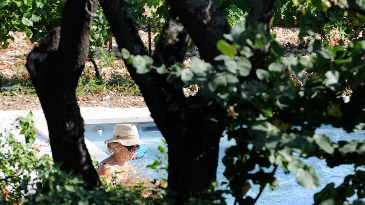 Photo of Outdoor in Violes