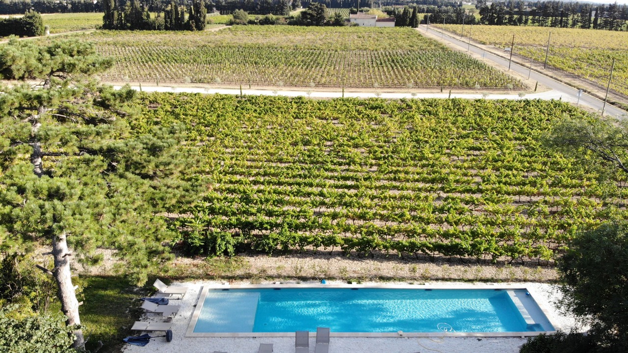 Photo of Outdoor in Violes