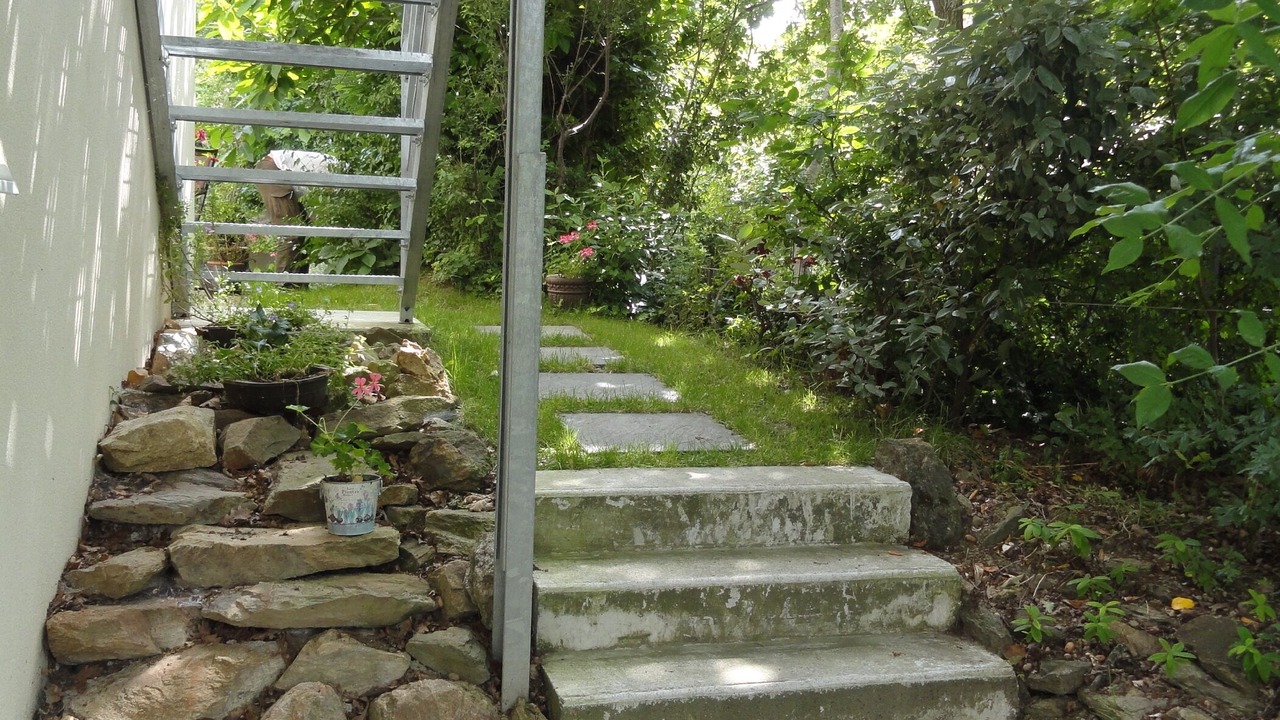 Photo of Outdoor in Eraudiere-Renaudiere