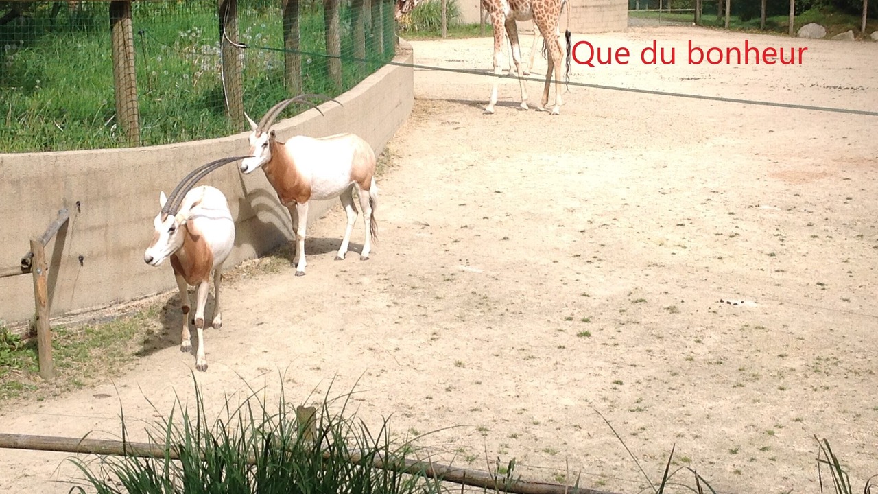 Photo of Others in Fleury
