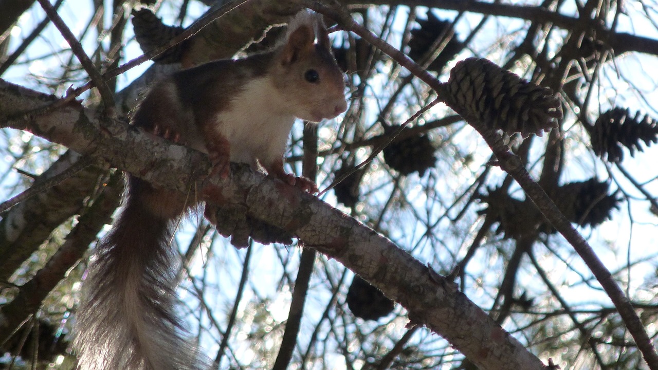 Photo of Outdoor in Castalla