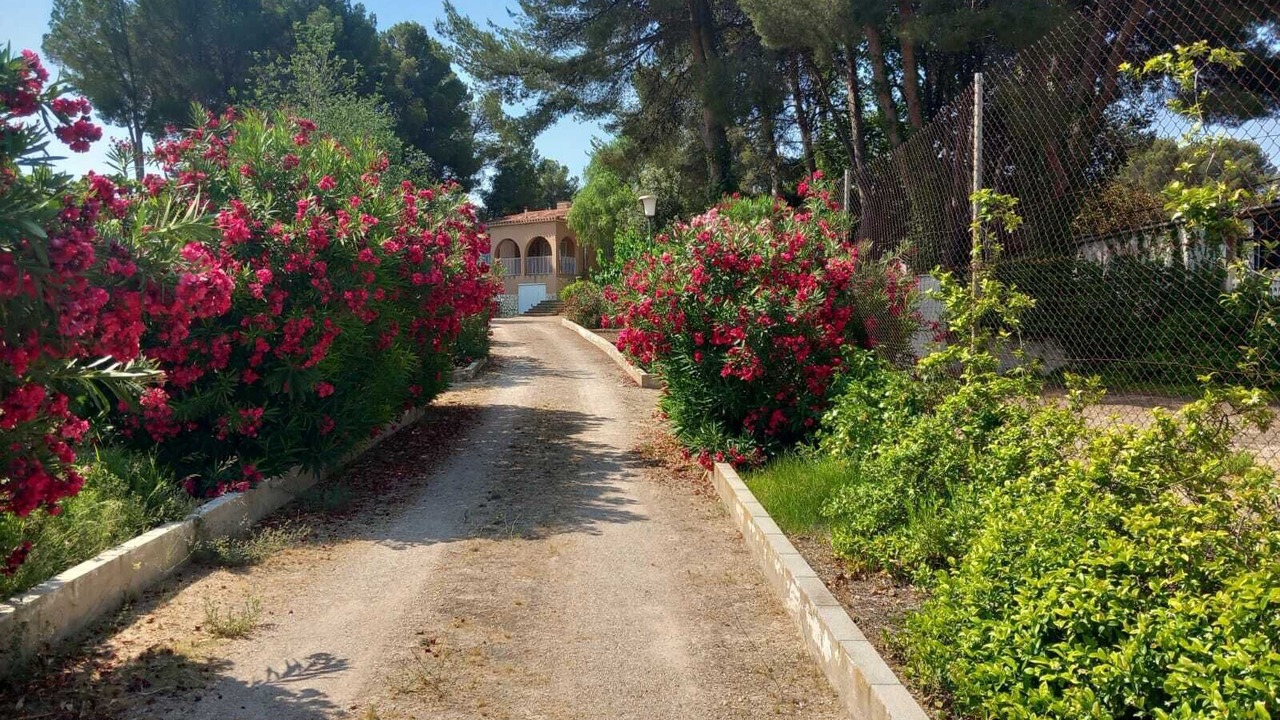 Photo of Outdoor in Castalla