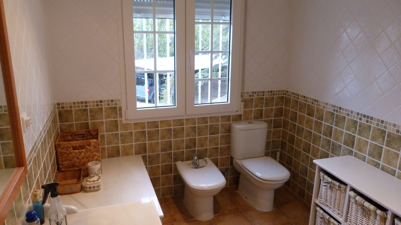 Photo of Bathroom in Castalla