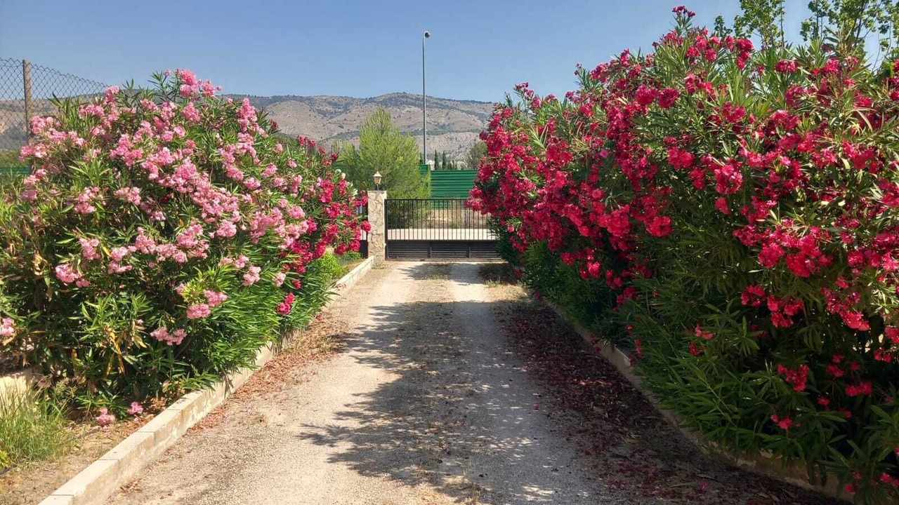 Photo of Outdoor in Castalla