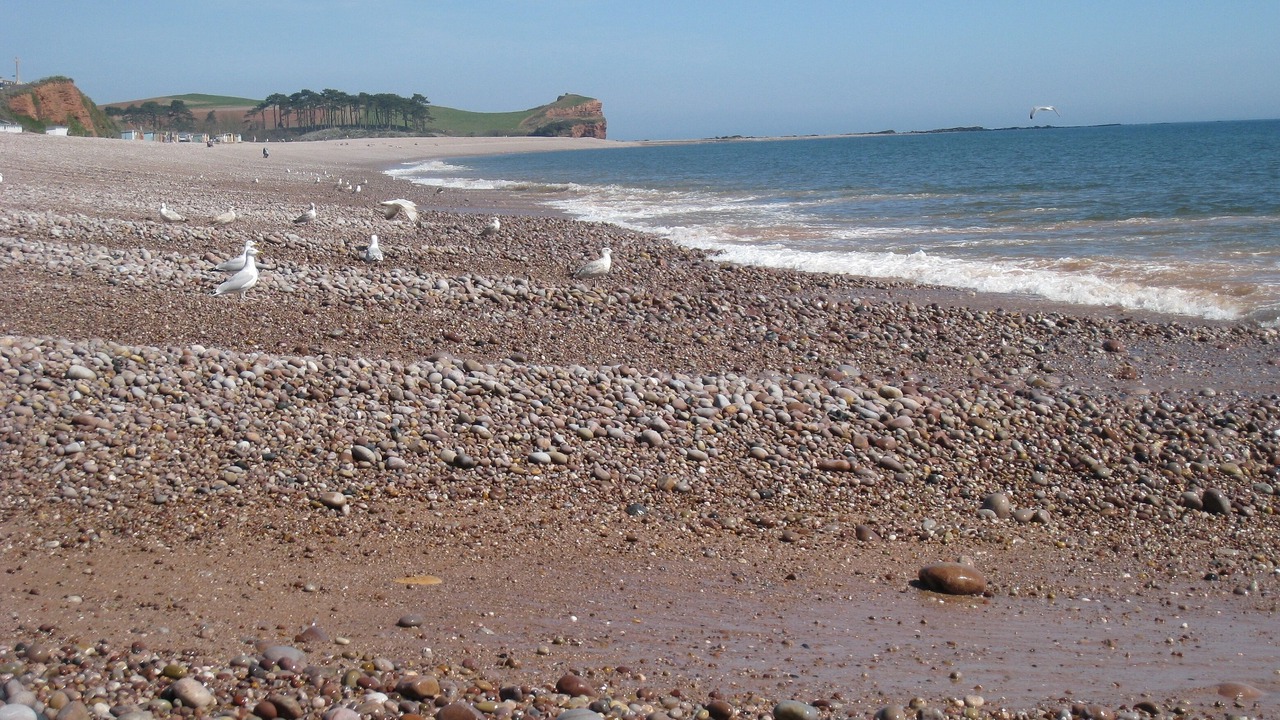 Photo of Others in Budleigh Salterton