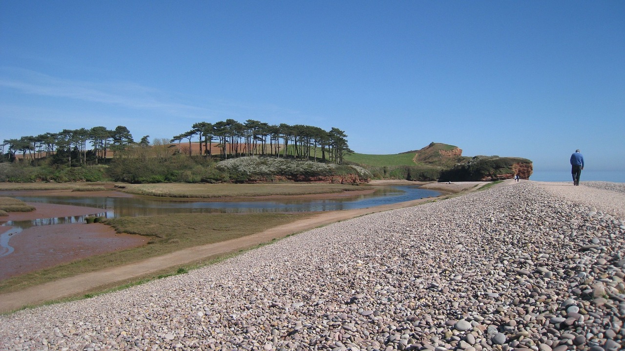 Photo of Others in Budleigh Salterton