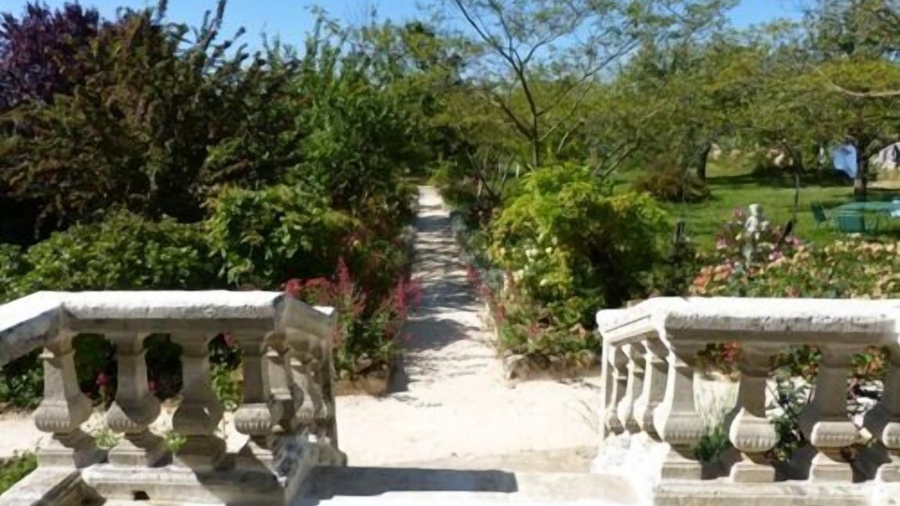 Photo of Outdoor in Saint-Thomas-de-Conac