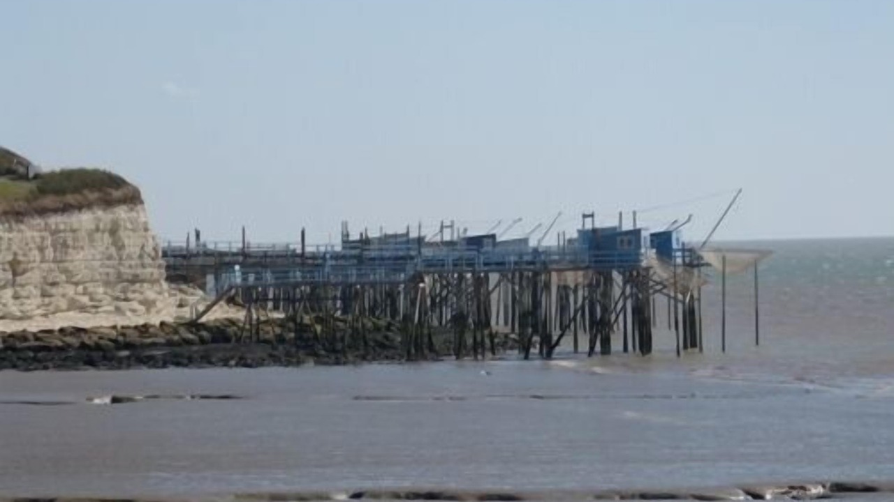 Photo of Others in Saint-Thomas-de-Conac