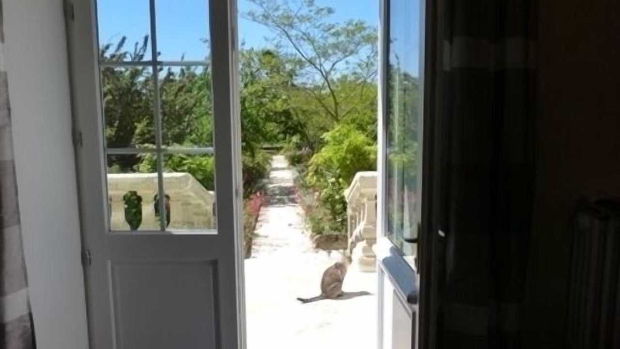 Photo of Others in Saint-Thomas-de-Conac