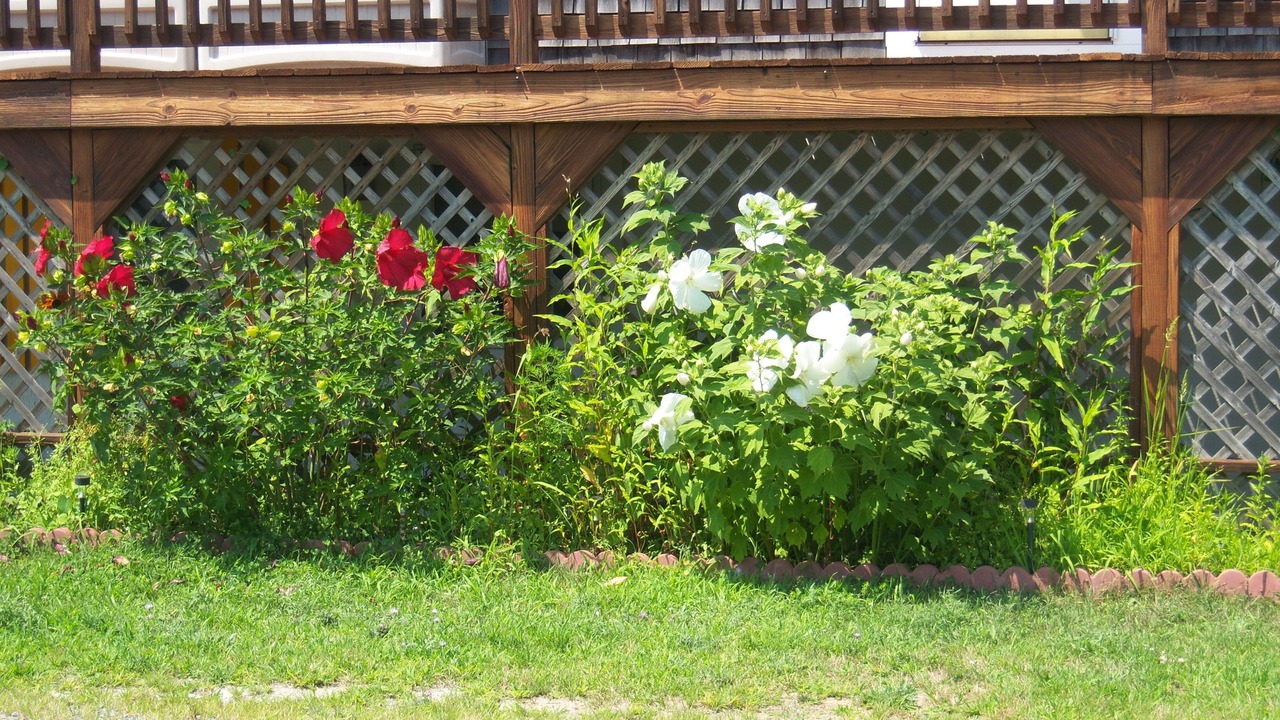 Photo of Outdoor in Sagamore Beach