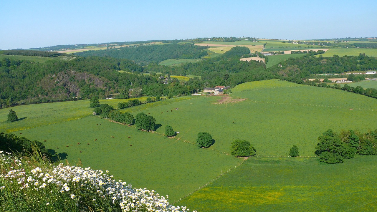 Photo of Others in Le Vey