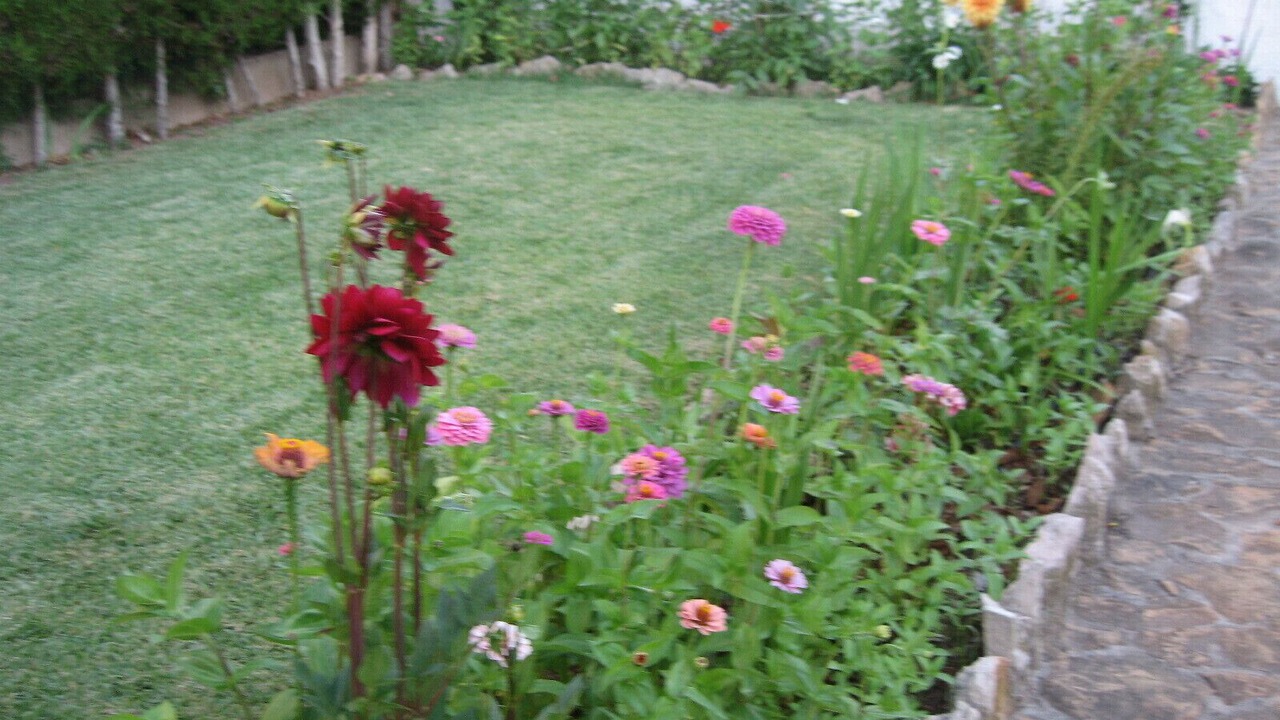 Photo of Outdoor in Roda de Bara