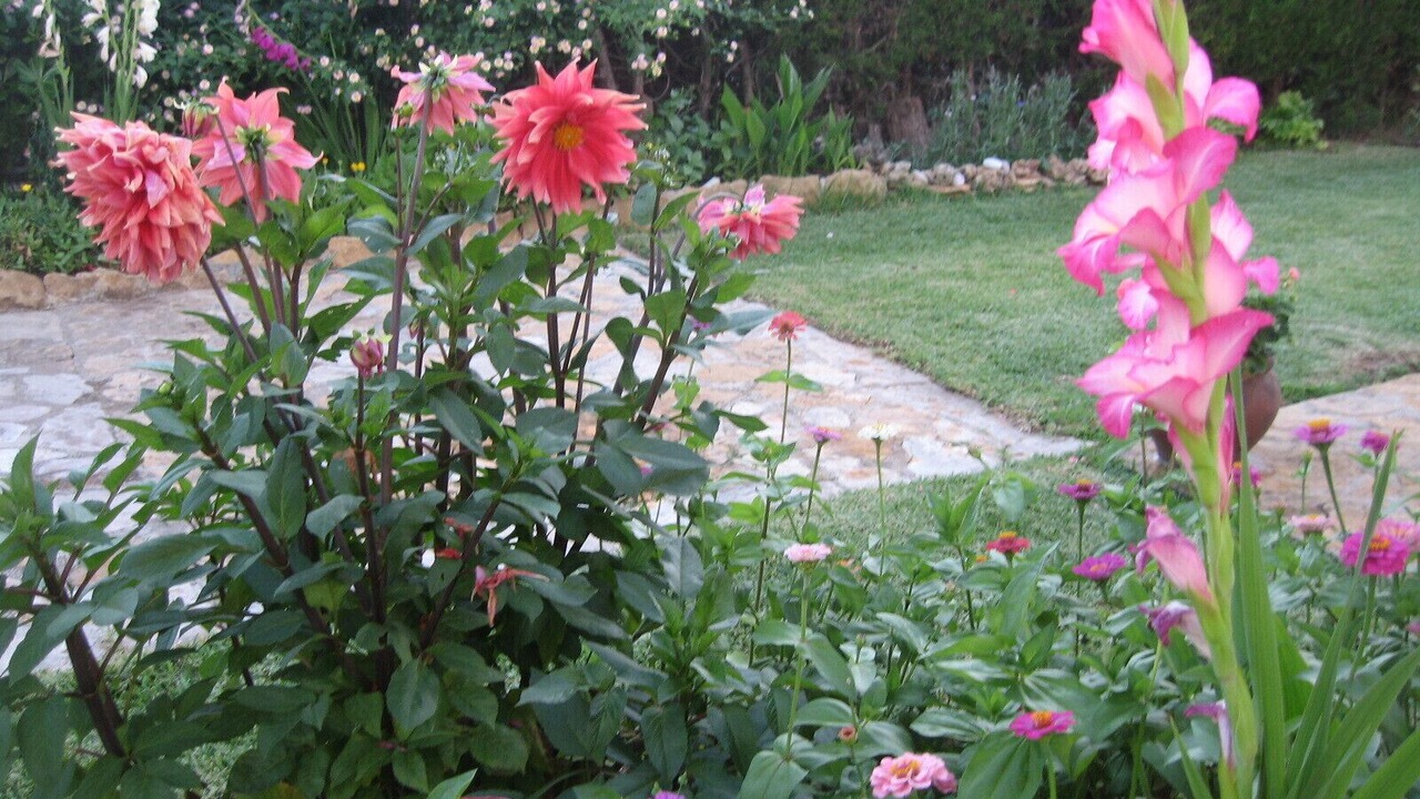 Photo of Outdoor in Roda de Bara