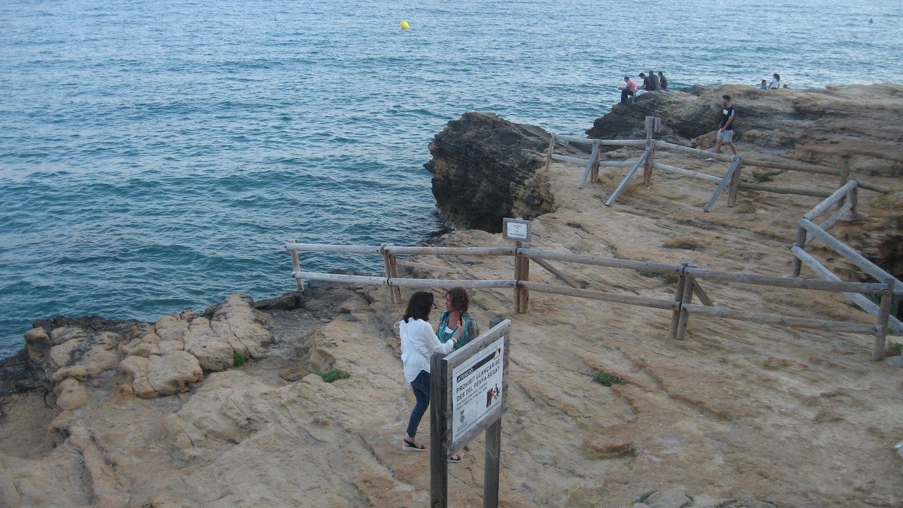 Photo of Others in Roda de Bara