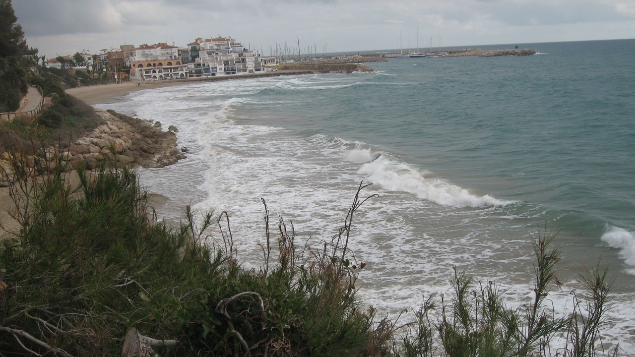 Photo of Others in Roda de Bara