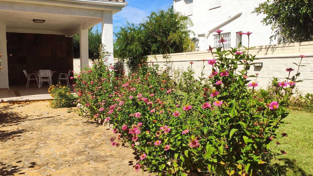 Photo of Patio Balcony in Roda de Bara