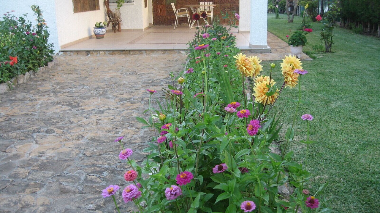 Photo of Outdoor in Roda de Bara