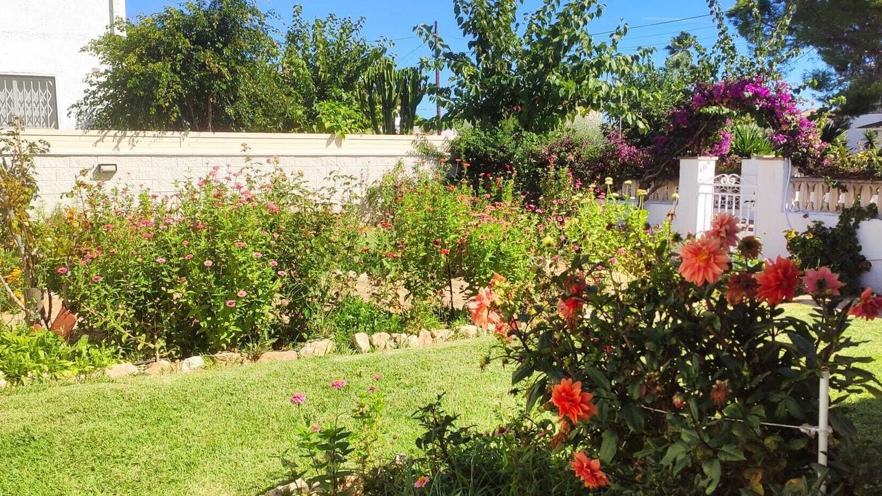 Photo of Outdoor in Roda de Bara