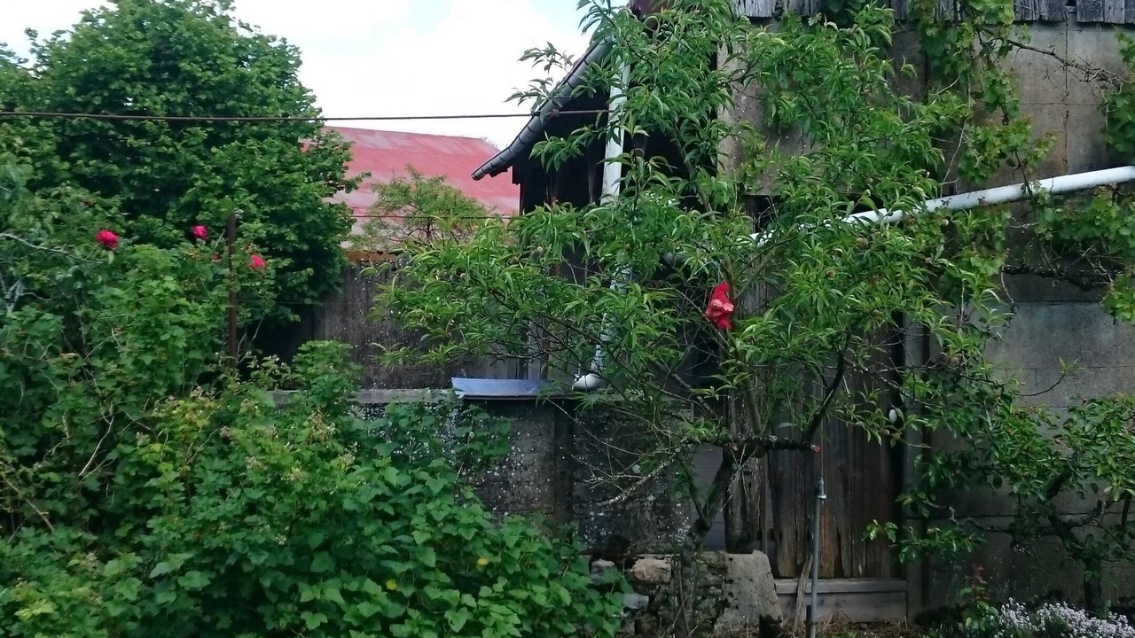 Photo of Outdoor in Dammarie-en-Puisaye