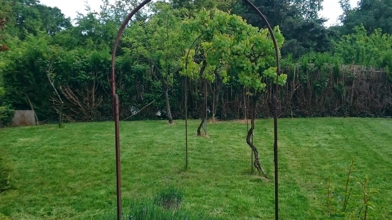Photo of Outdoor in Dammarie-en-Puisaye